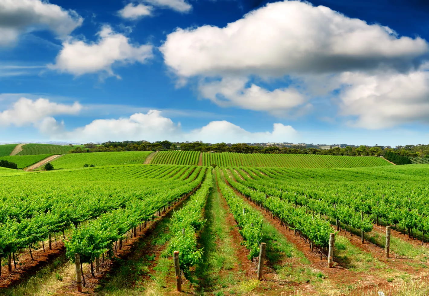 Evolving with you and your customers